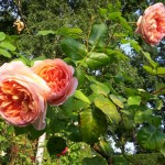 Abraham Darby